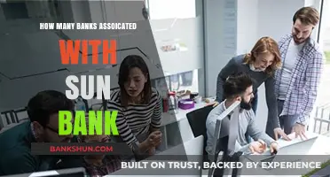 Exploring the Network: Banks Associated with Sun Bank Revealed