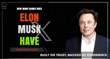 Elon Musk's Banking Empire: How Many Banks Does He Own?