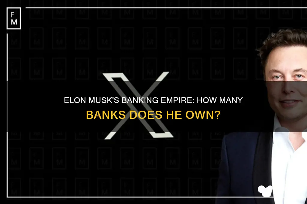 how many banks does elon musk have
