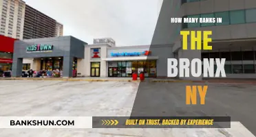 Exploring the Number of Banks Serving the Bronx, NY Community