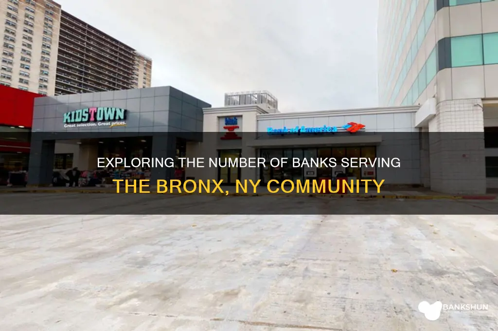 how many banks in the bronx ny