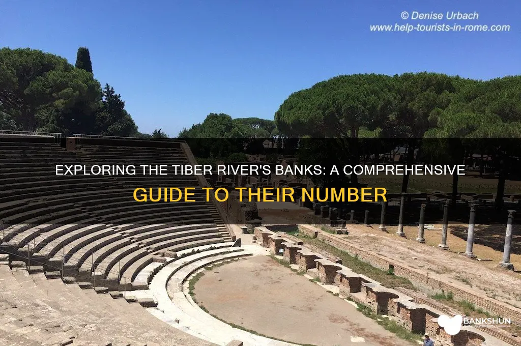how many banks the tiber river have