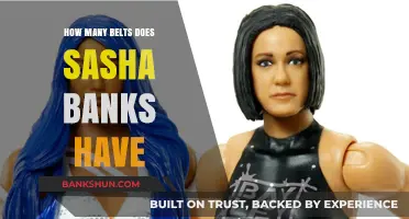 Sasha Banks' Championship Legacy: Counting Her Prestigious WWE Title Belts