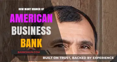 Exploring the Extensive Network of American Business Bank Branches
