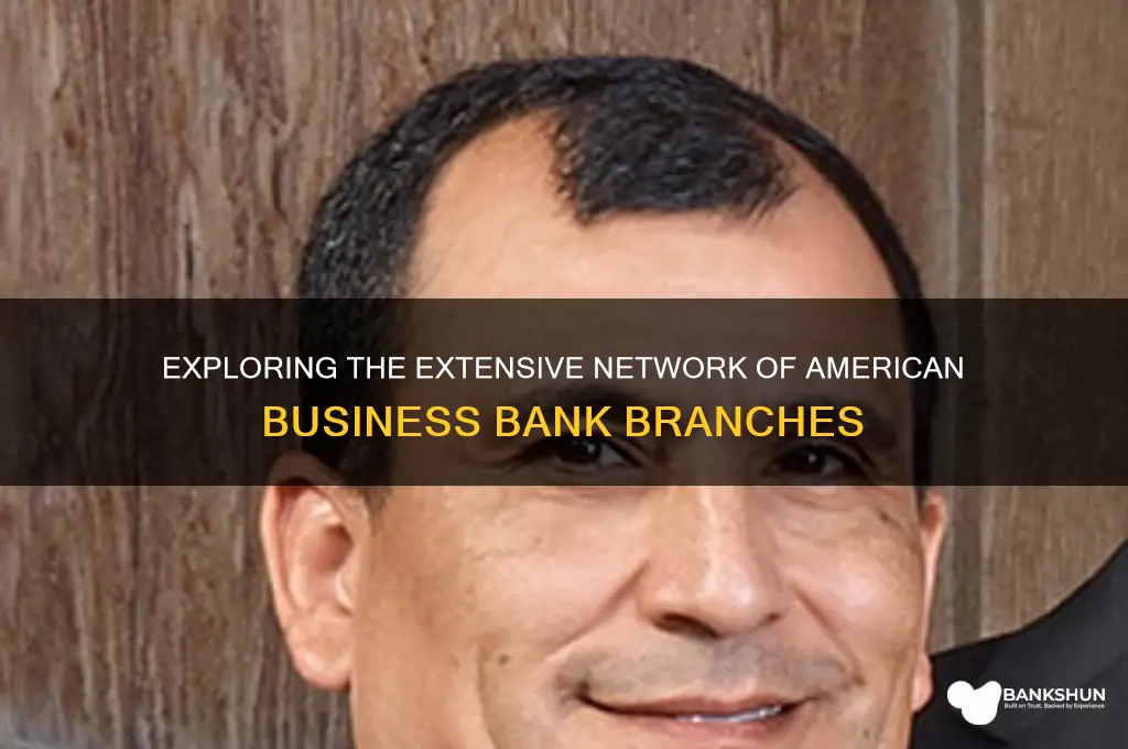 how many branch of american business bank