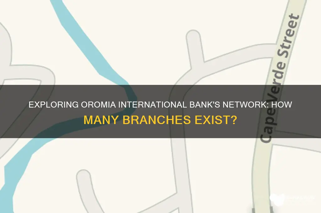 how many branch of oromia international bank