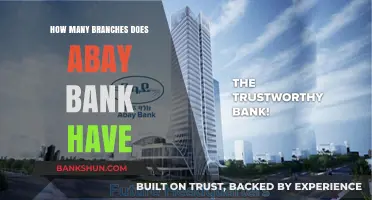 Exploring Abay Bank's Reach: Total Number of Branches Revealed