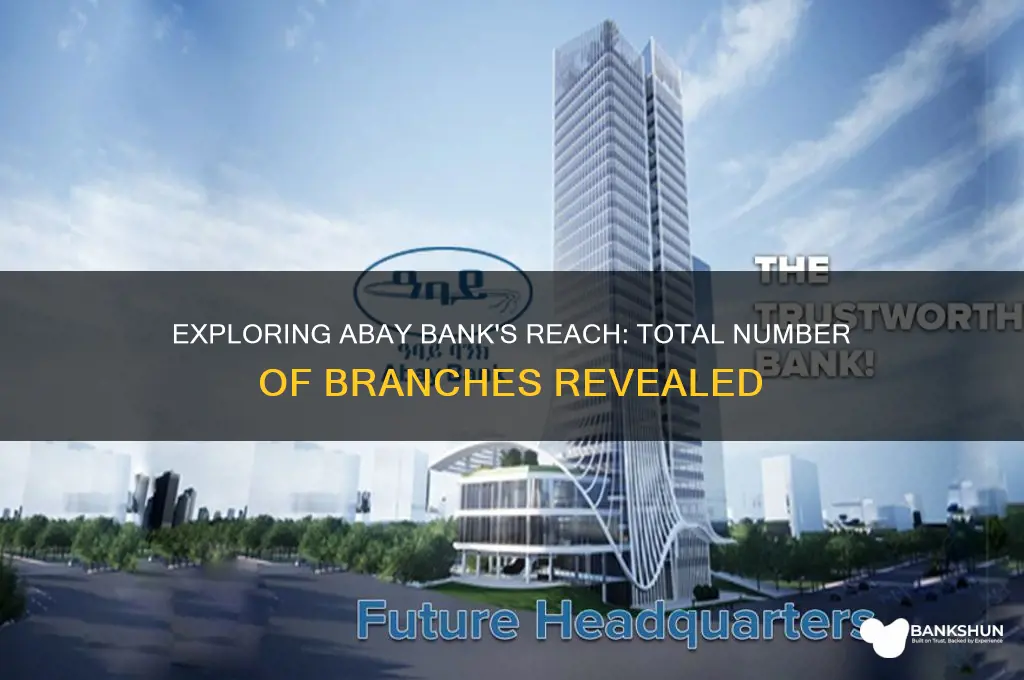 how many branches does abay bank have