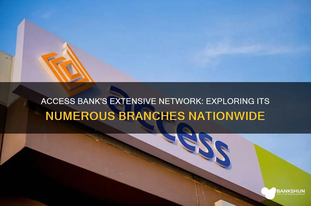 how many branches does access bank have
