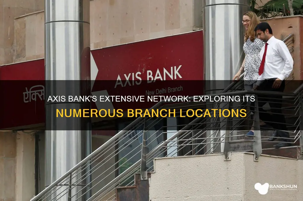 how many branches does axis bank have