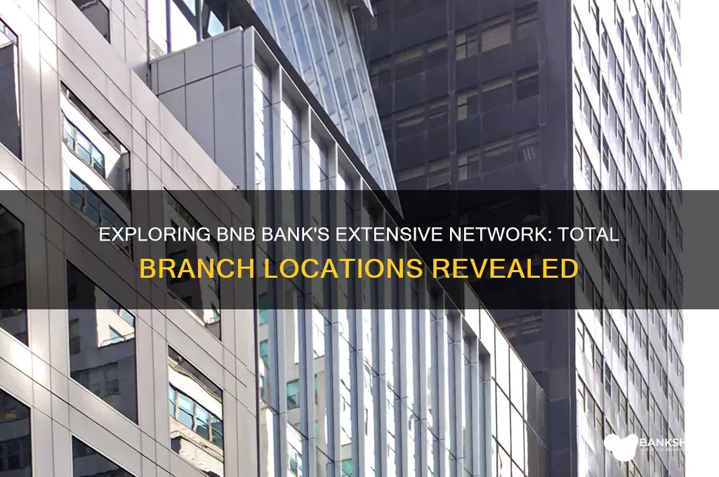 how many branches does bnb bank have