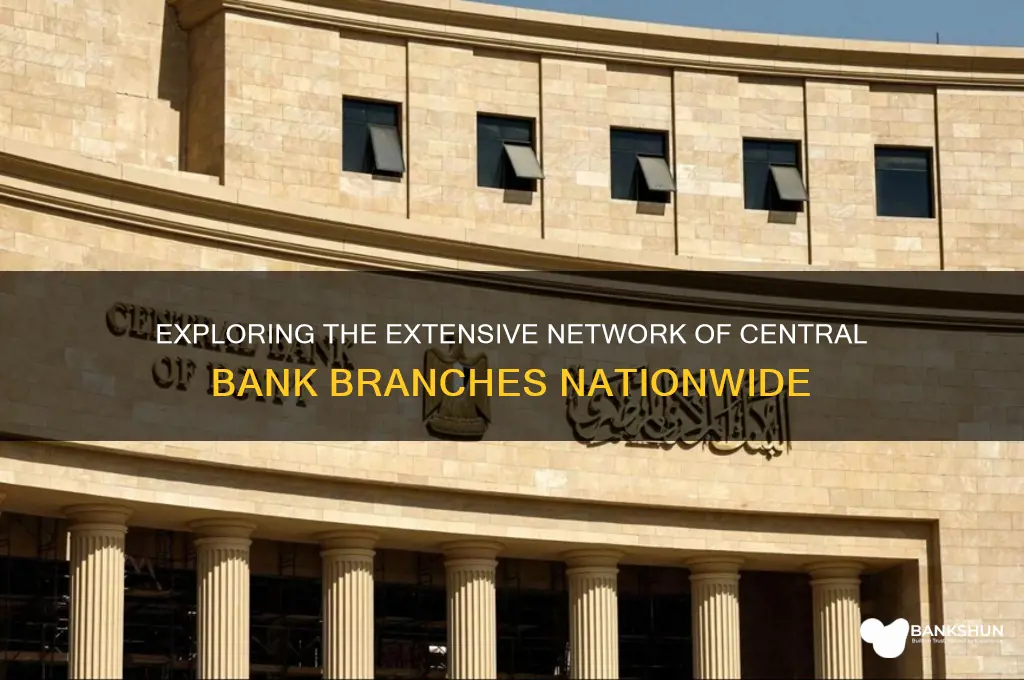 how many branches does central bank have