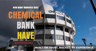Exploring Chemical Bank's Extensive Network: How Many Branches Exist?