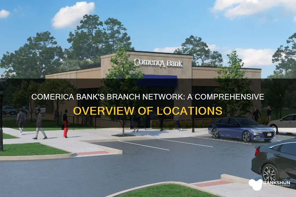 how many branches does comerica bank have