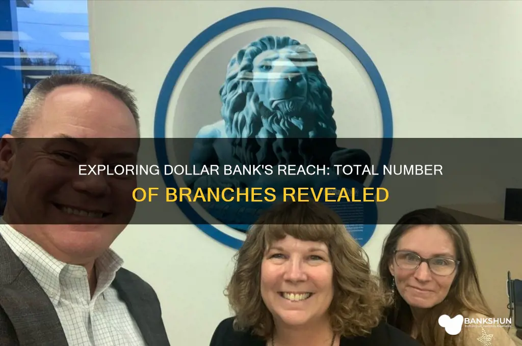how many branches does dollar bank have