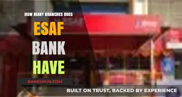 Exploring ESAF Bank's Reach: Total Number of Branches Revealed
