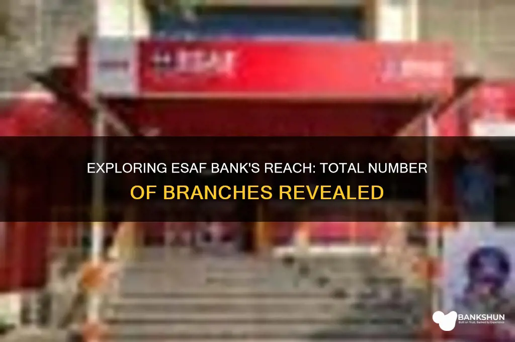 how many branches does esaf bank have