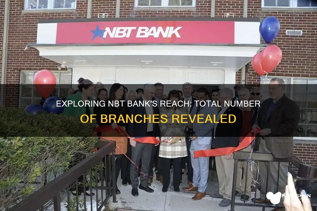 how many branches does nbt bank have
