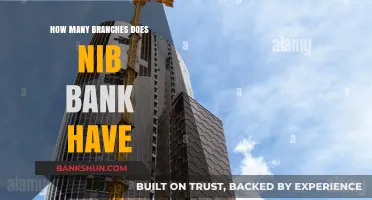 Exploring NIB Bank's Network: Total Branches Across the Country