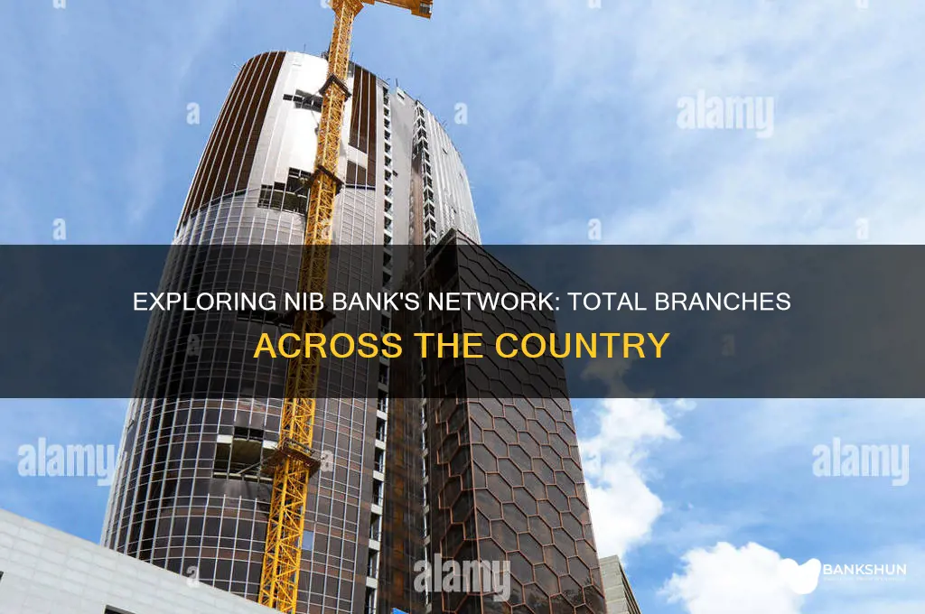 how many branches does nib bank have