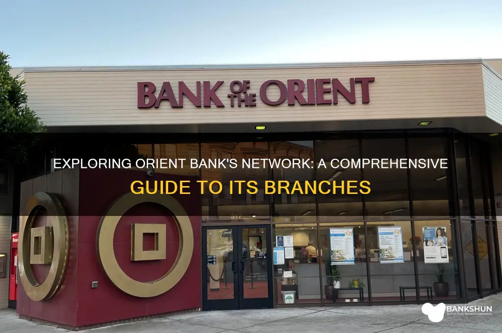 how many branches does orient bank have