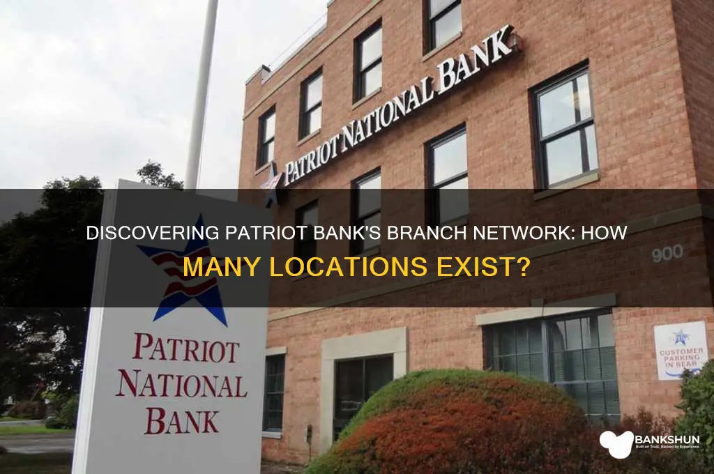 how many branches does patriot bank have