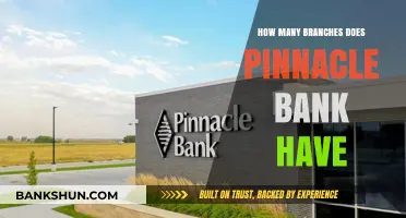 Exploring Pinnacle Bank's Reach: Total Number of Branches Revealed