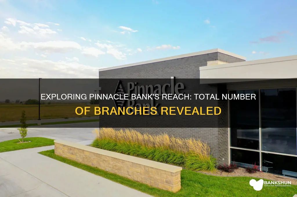 how many branches does pinnacle bank have