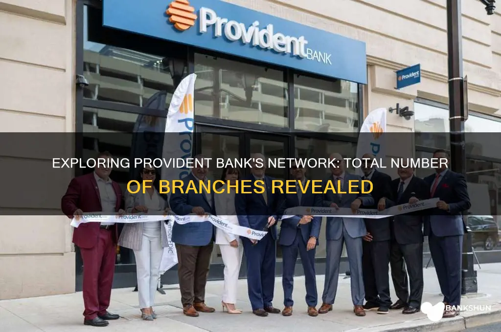 how many branches does provident bank have