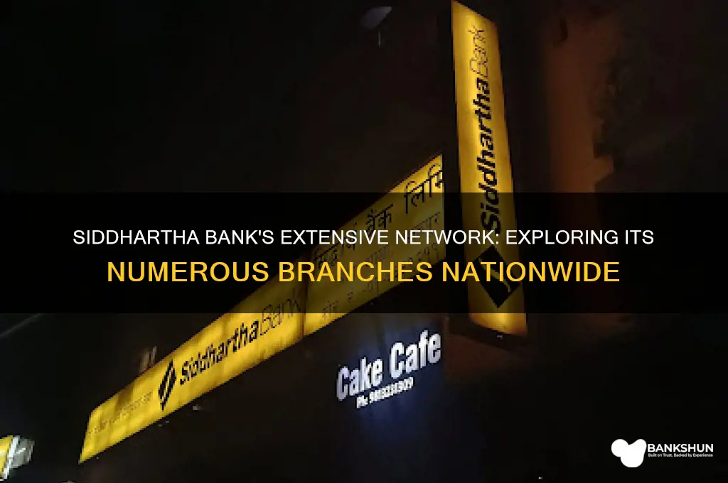 how many branches does siddhartha bank have