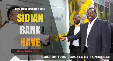 Exploring Sidian Bank's Network: Total Number of Branches Revealed