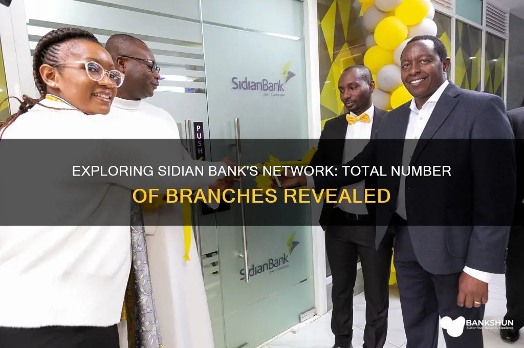 how many branches does sidian bank have