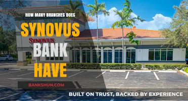 Exploring Synovus Bank's Network: Total Number of Branches Revealed