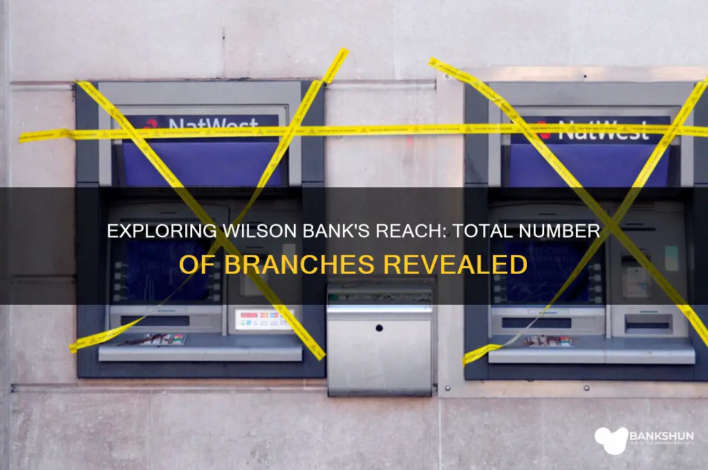 how many branches does wilson bank have