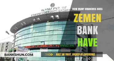 Exploring Zemen Bank's Network: Total Number of Branches Revealed