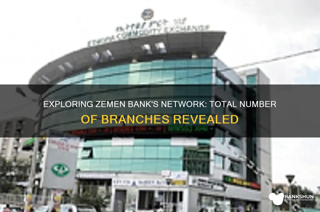 how many branches does zemen bank have