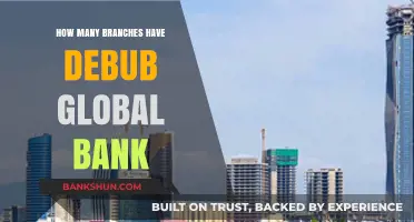 Exploring Debub Global Bank's Network: How Many Branches Exist?