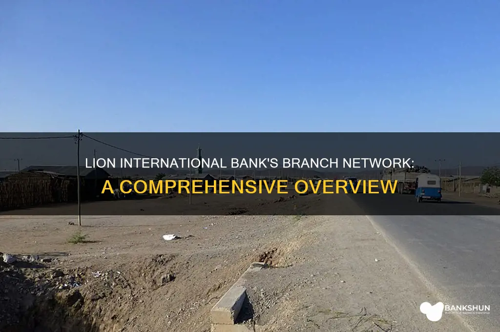 how many branches have lion international bank