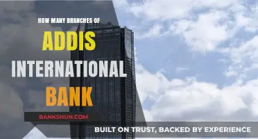 Exploring Addis International Bank's Network: How Many Branches Exist?