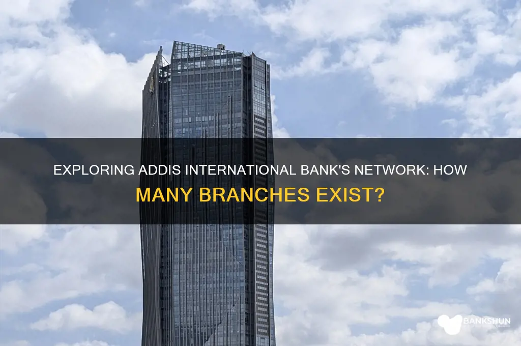 how many branches of addis international bank