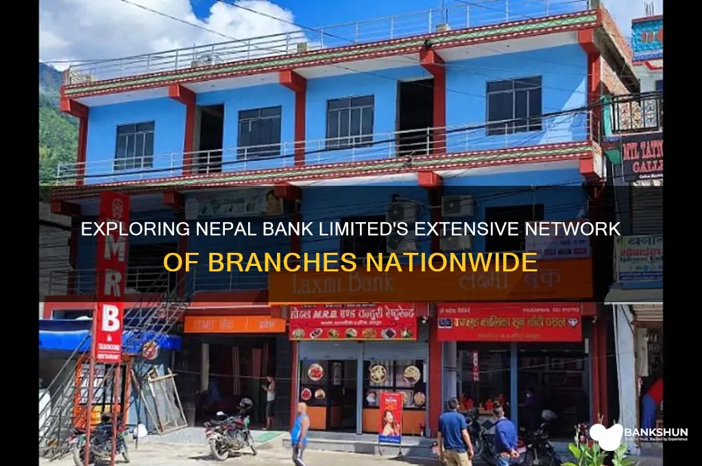 how many branches of nepal bank limited