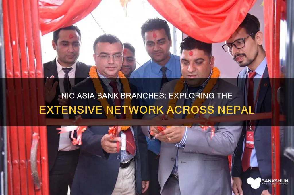 how many branches of nic asia bank
