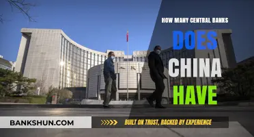 Understanding China's Central Banking Structure: How Many Banks Exist?