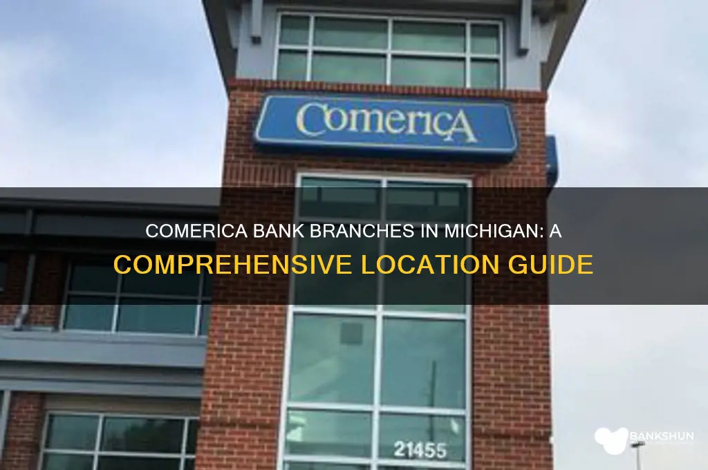how many comerica bank branches in mi