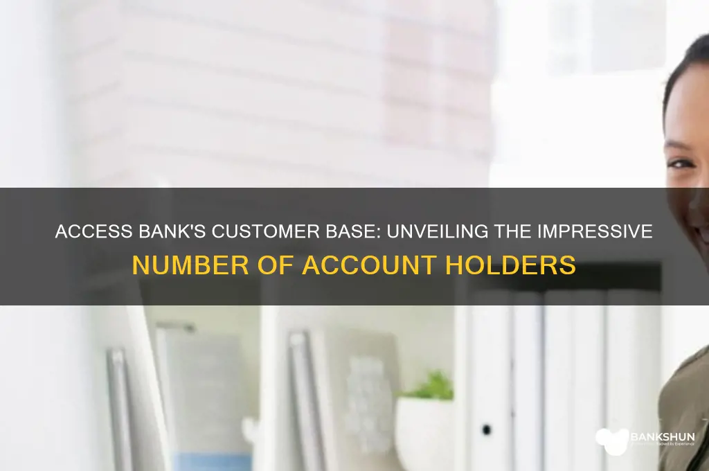 how many customers does access bank have
