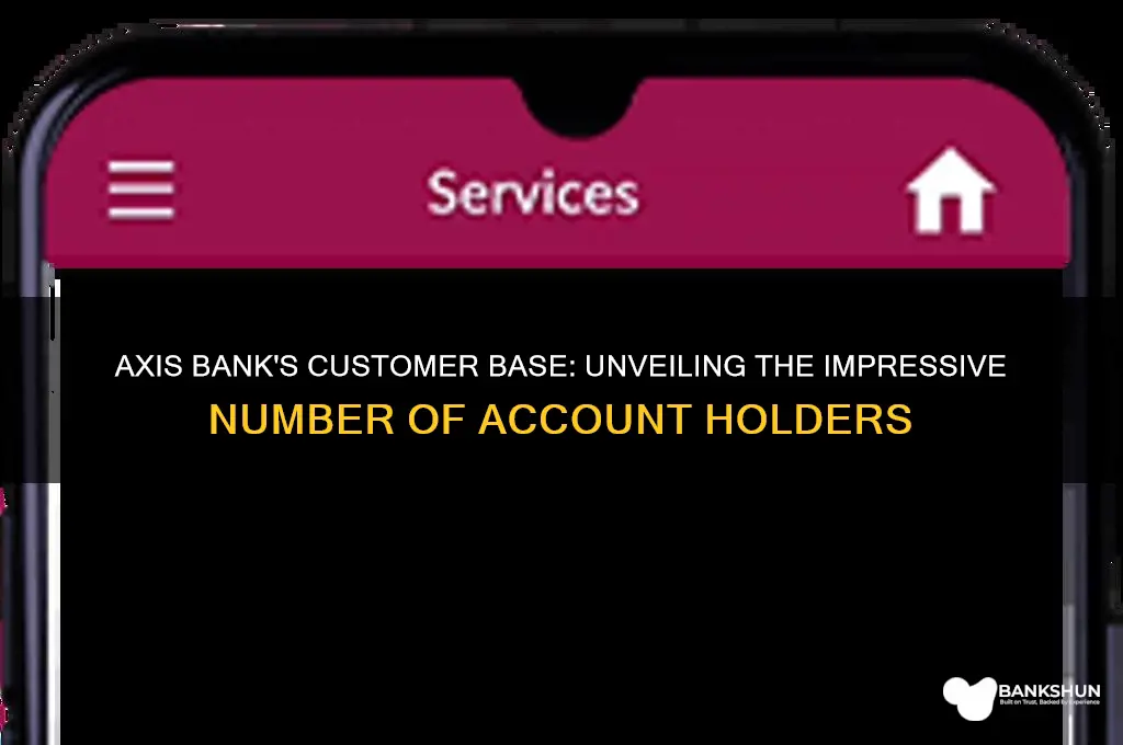 how many customers does axis bank have