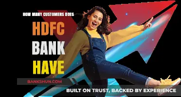 HDFC Bank's Customer Base: Unveiling the Impressive Number of Account Holders