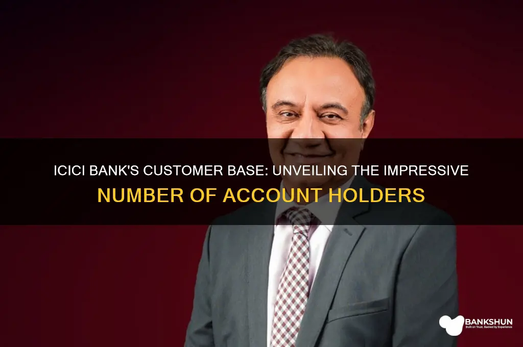 how many customers does icici bank have