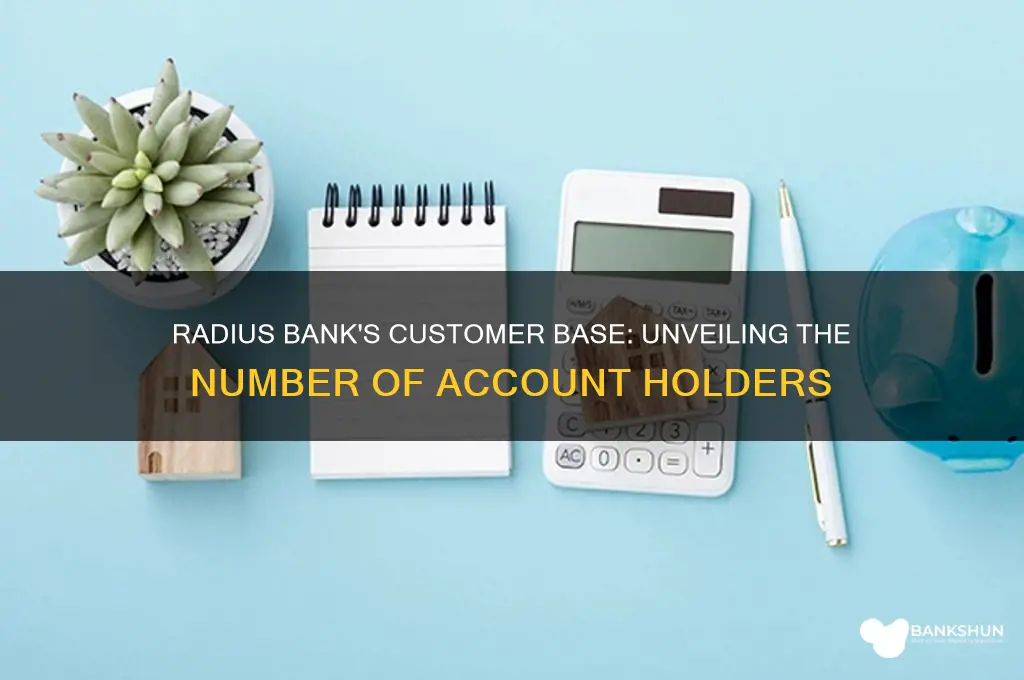 how many customers does radius bank have