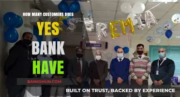 Yes Bank's Customer Base: Unveiling the Number of Account Holders